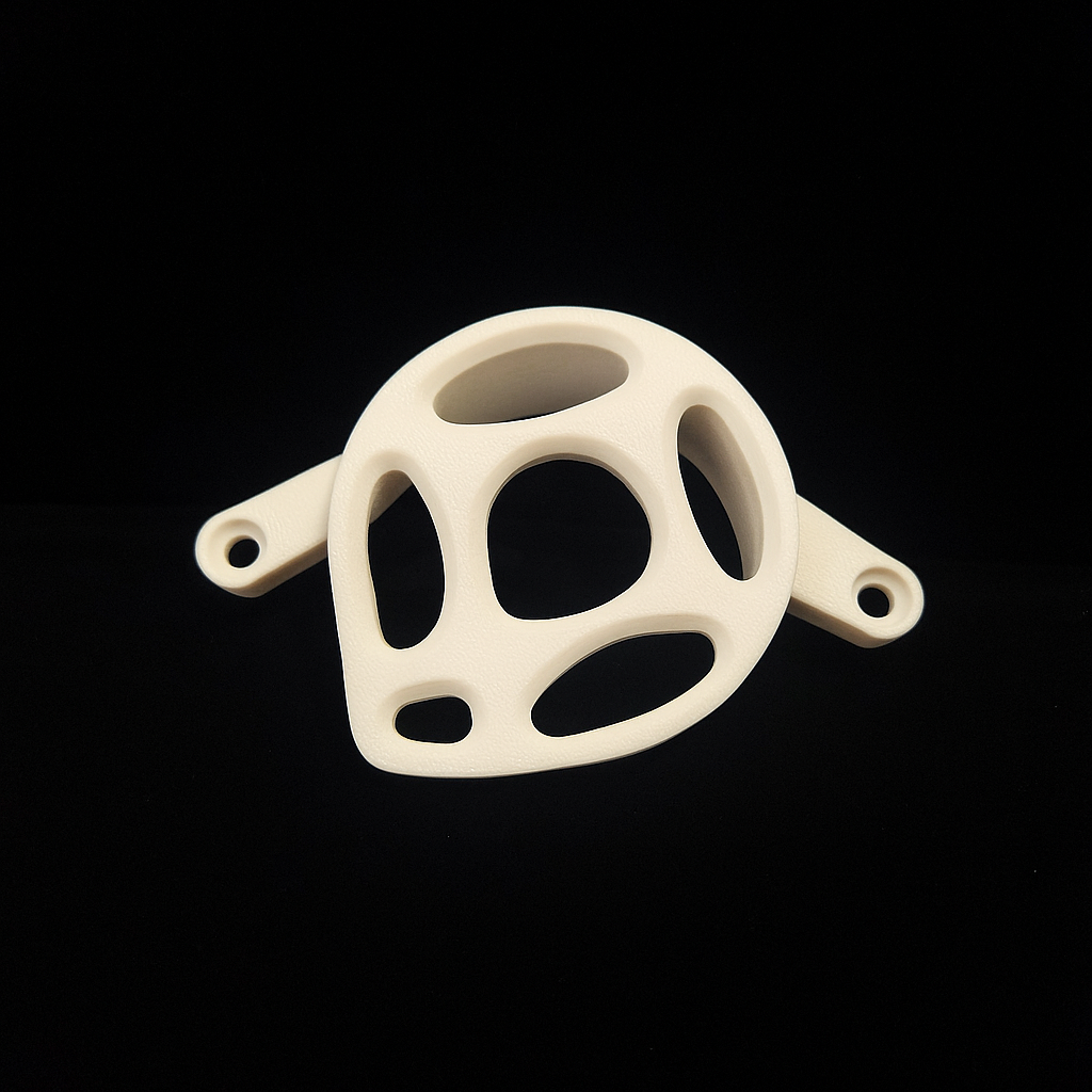 Surron LBX motor cover